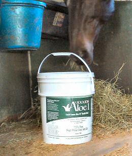 Image of Bulk Aloe Vera Gel for Horses