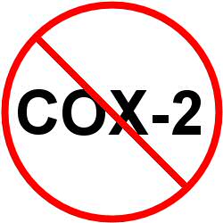 No Cox 2