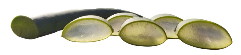 Aloe vera slices