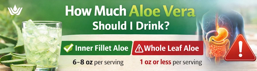 How much aloe vera should I drink?
