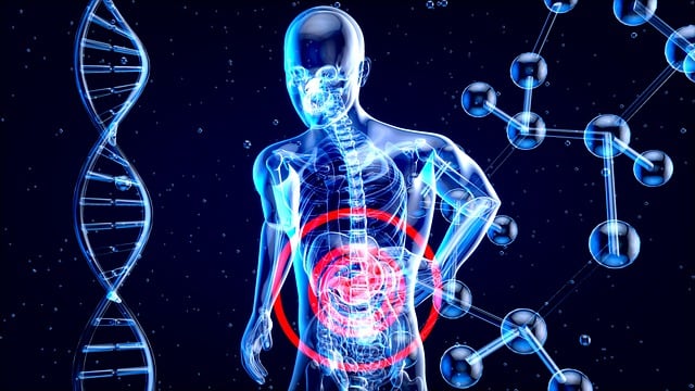 illustration of man’s body with gut health in focus